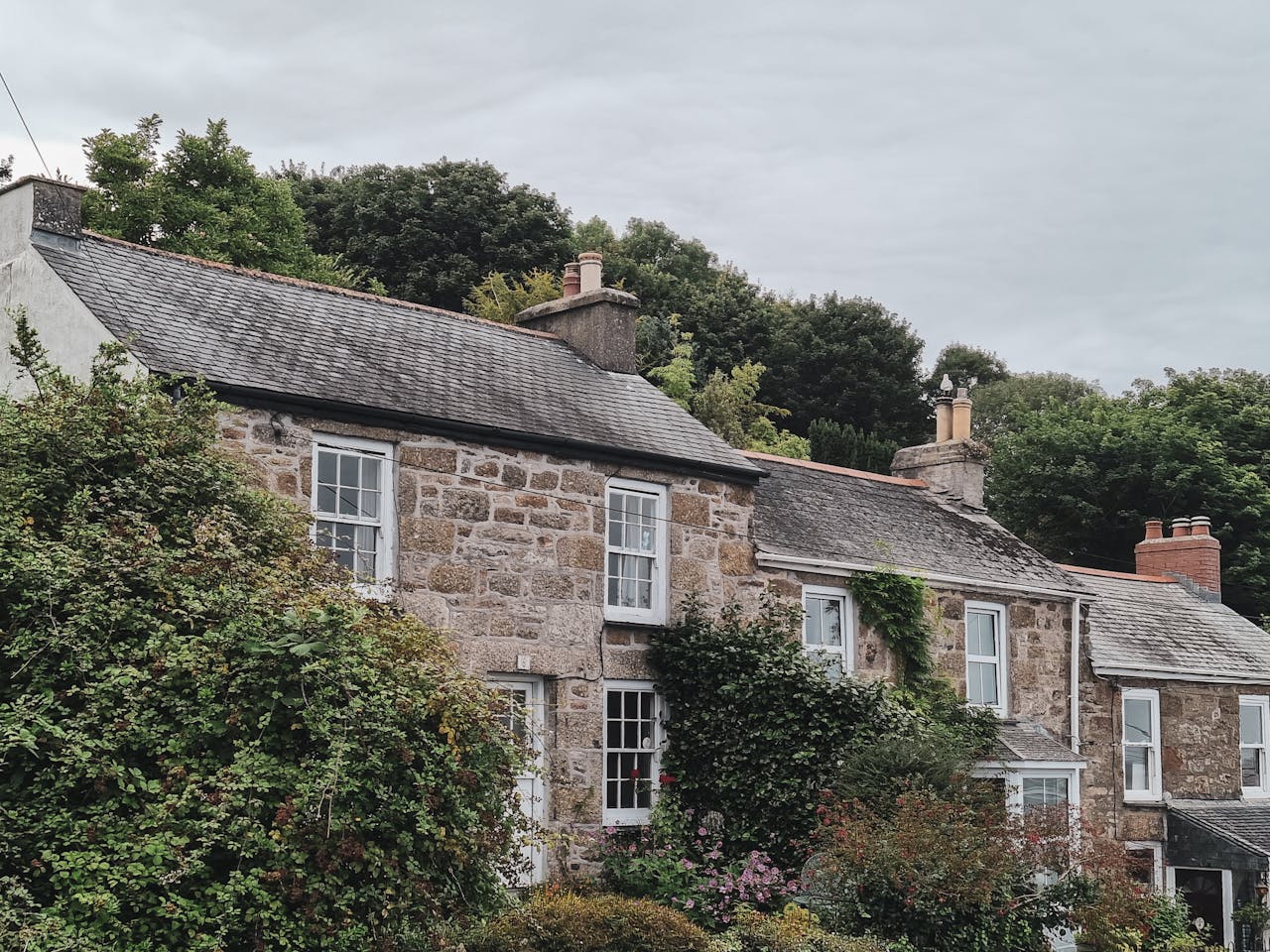 Ivy-covered stone house in Newlyn, England, showcasing traditional architecture and lush garden plants.