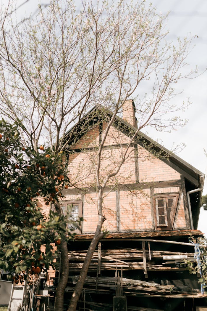 A rustic wooden house with a bare tree in front, signaling early spring.